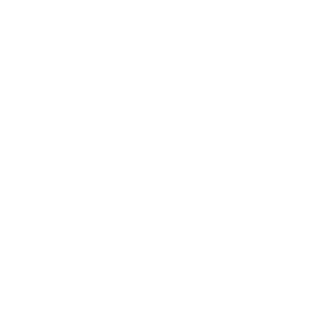 ornbo icon